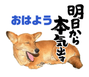839665154