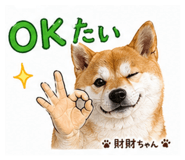 839665218