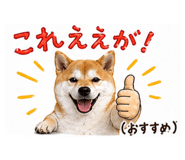 839665224