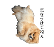 839665254