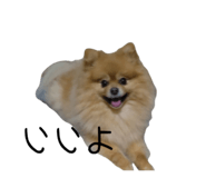 839665259