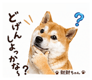 839665414