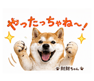 839665416