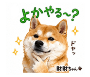 839665498