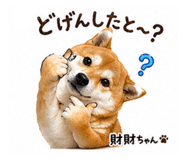 839665502