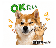 839665642
