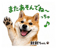 839665644