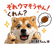 839665648