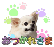839665734