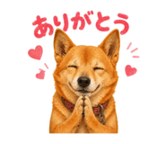 839665739