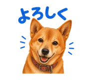 839665741