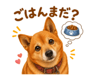 839665748