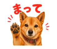 839665749