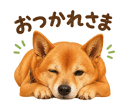 839665752