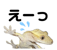 839665934