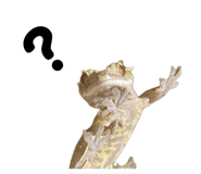 839665936