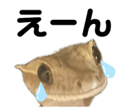 839665941