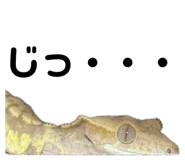 839665942