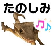 839665949