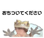 839665951