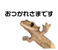839665959