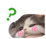 839666003