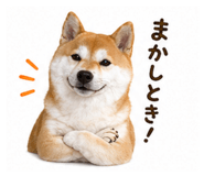 839668259