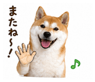 839668260