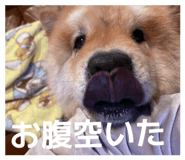 839668329
