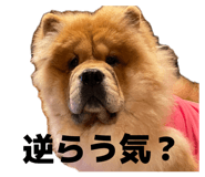 839668332