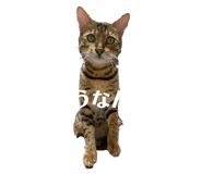 839668343