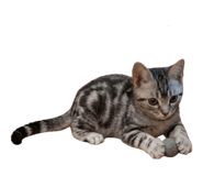 839668428