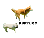 839668546