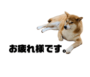 839668547