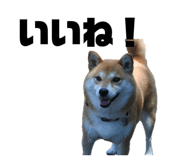 839668550