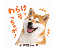 839668605