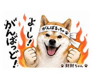 839668844