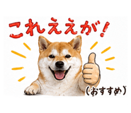 839668856