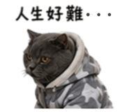 839668982