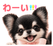 839669222