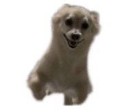 839669585