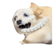 839669586