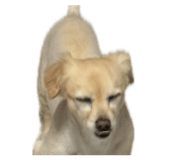 839669591