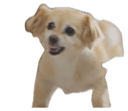 839669592