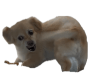 839669594