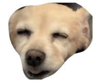 839669600