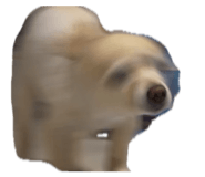 839669602