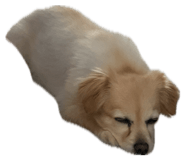 839669604