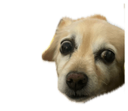 839669609