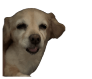 839669622